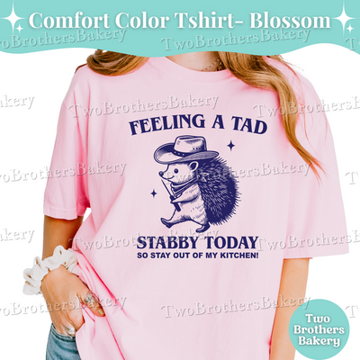 Feeling A Tad Stabby Shirt, Scribe Tool Baker Tee, Funny Cookie Decorator Shirt, Macaron Maker Gift, Baking Humor Shirt, Vintage Baker