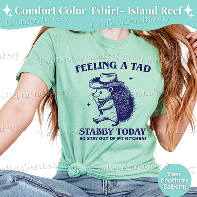 Feeling A Tad Stabby Shirt, Scribe Tool Baker Tee, Funny Cookie Decorator Shirt, Macaron Maker Gift, Baking Humor Shirt, Vintage Baker