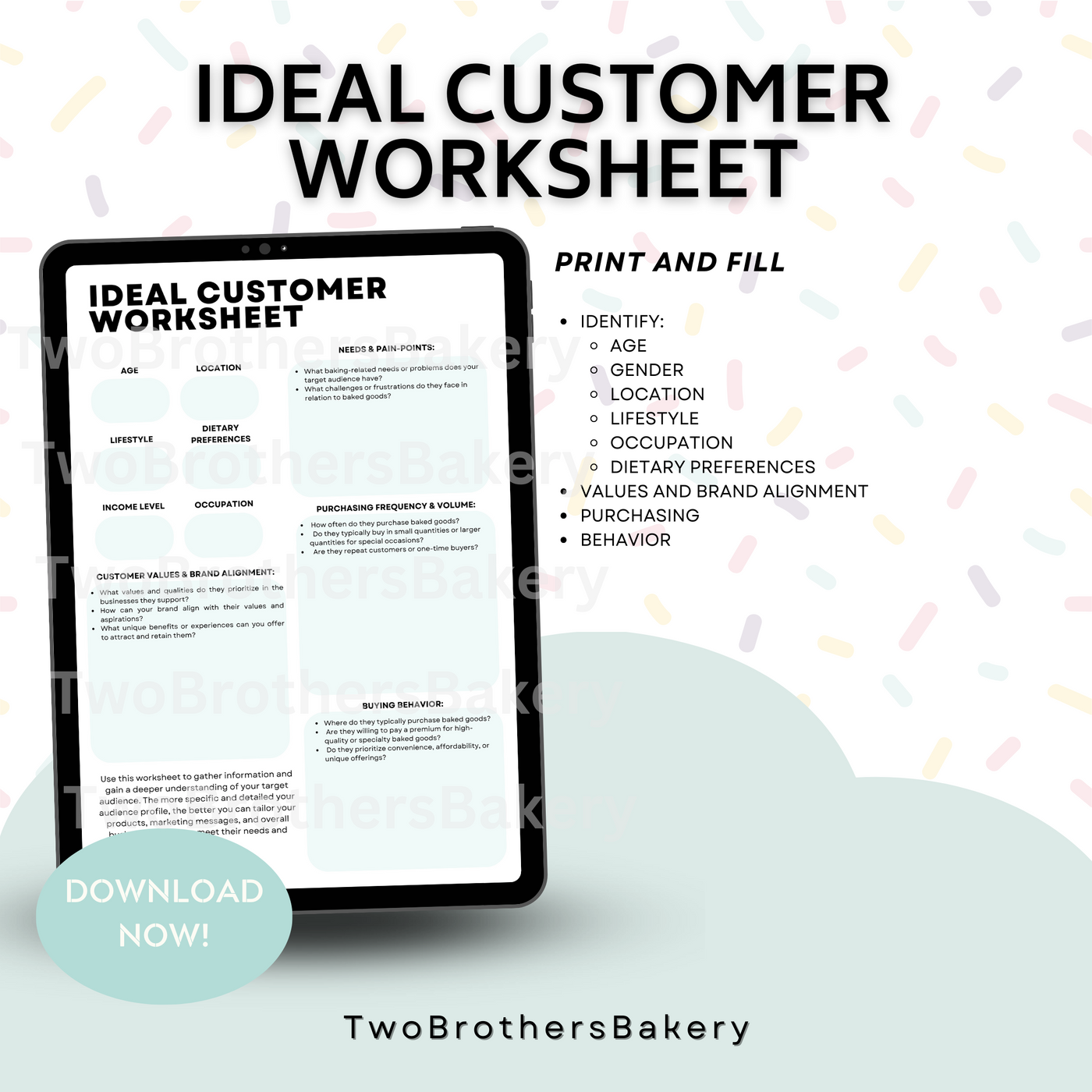 Ideal Customer Worksheet